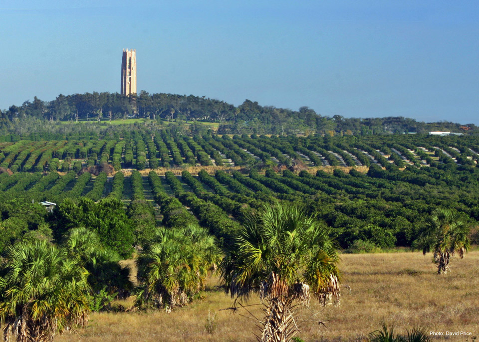 Bok Tower Garden Viewshed